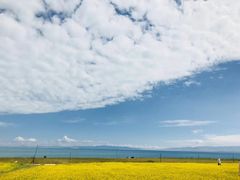 -青海湖国家重点风景名胜区