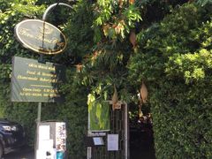 -Fern Forest Cafe