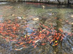 -水磨沟公园