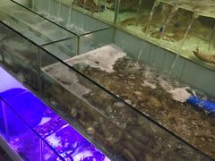 水产区-多迷烫菜广场(水心大厦店)