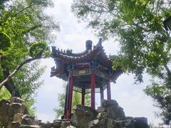 -莲湖公园
