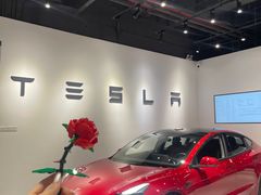 -TESLA 特斯拉(北京颐堤港体验店)