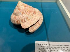 -青岛贝壳博物馆