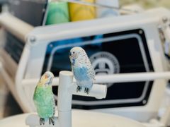 -潮一不贰·法式甜品·生日蛋糕·西式简餐(外滩店)