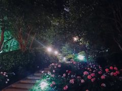 -常州古运河南大街文化旅游区-人民公园