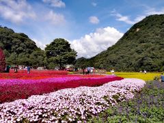 -广州市石门国家森林公园