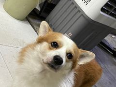 -小梁哥云吞面(黄贝岭店)