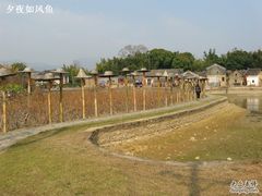 -苏家围·东江画廊旅游景区