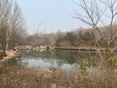 -云岗森林公园