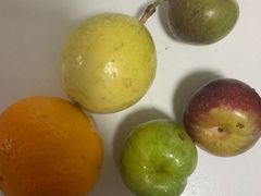 -曼格蒸汽活海鲜·榴莲自助(皇庭广场店)