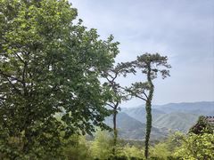 -莫干山风景区