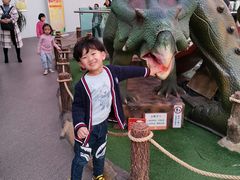 -陕西自然博物馆