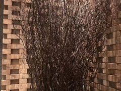 -君悦酒店·1881·北京烤鸭