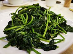 蒜蓉炒番薯叶-权记避风塘(鸿记店)