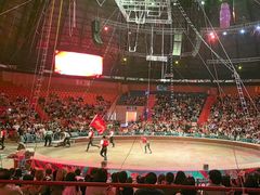 -俄罗斯国家大马戏团