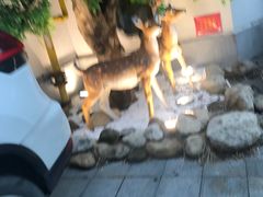 -春天来了(印象新天地店)