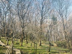 -香炉山国家森林公园