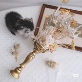 超级仙的手捧
