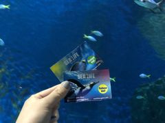 -暹罗海洋世界