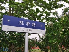 -苏州城市学院