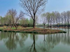 -东郊湿地公园