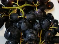 -珠海横琴长隆《卡卡虎奇遇记》