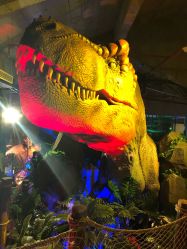 点击看大图 -恐龙探索乐园(磁器口店)