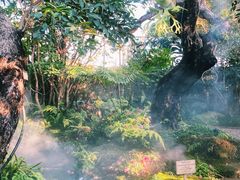 -Chom Cafe and Restaurant