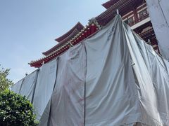 -新加坡佛牙寺龙华院