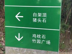 -火炉山森林公园