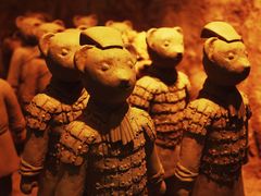 -济州岛泰迪熊博物馆