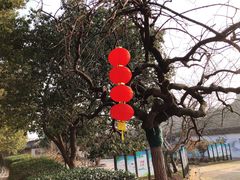 -雨花胜境