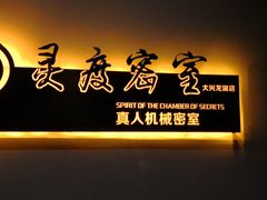 -灵度密室(大兴龙湖时代天街店)