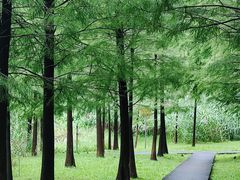 -行人小筑·茶馆(岑村火炉山分店)