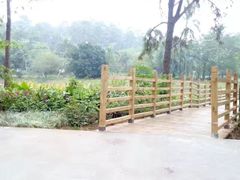 -金山植物公园