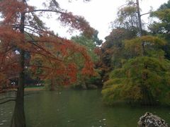 景点-丽池公园
