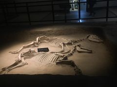 -洛阳周王城天子驾六博物馆