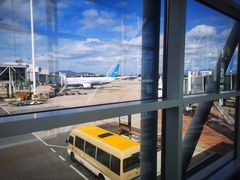 -厦门高崎国际机场-T3航站楼