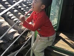 -EATALIA意塔利意式餐厅(鼓楼店)