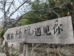 -林坑古村落