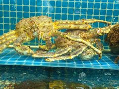 -烤满分·东北烧烤(首经贸店)