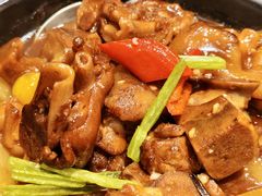栗子焖猪手-新兴家喻酒家·羊城名宴(昌岗店)