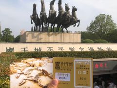 -洛阳周王城天子驾六博物馆