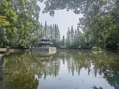 -习家池