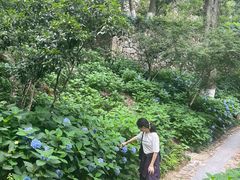 -莫干山风景区