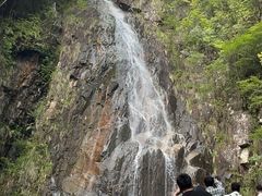 -花岩国家森林公园