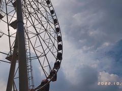 -顾村公园