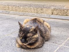 -万寿八仙宫