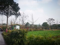 -洪湖家庭农场·团建·露营·会议