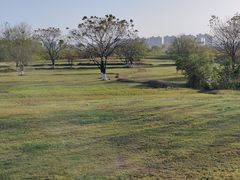 -盘龙城国家考古遗址公园